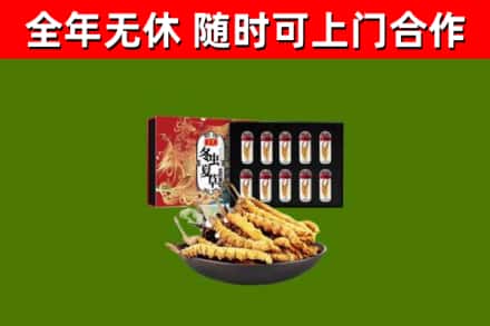 无锡烟酒回收冬虫夏草礼盒.jpg
